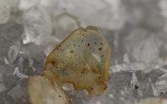 Baryt-Holten-Sauerland-2016-01-30 23-45-09 (C)