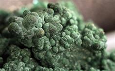 Bayldonit-Penberthy Croft St. Hilary FOV 8mm 2015-12-16 23-28-43 (C)