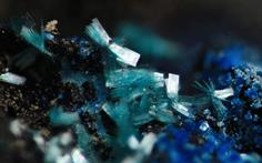 Botallackit-Geevor Mine-St.Just FOV 1.5mm 2016-01-27 23-34-56 (C)