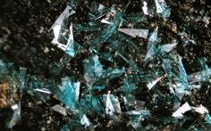 Botallackit-Levant Mine FOV 1.5mm 2015-12-15 23-57-35 (C)