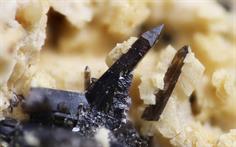 Cassiterit - Cligga Head Cornwall FOV 2mm 2016-02-12 20-52-02 (C)