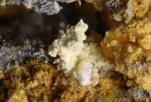 Copiapit-Zeche Julia Herne FOV 4mm 10022015