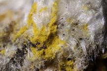 Metavoltin-Halotrichit Zeche Julia Herne FOV 4mm 13032015