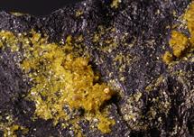 Metavoltin-Zeche Prosper-Haniel Bottrop FOV 3mm-13032015-2