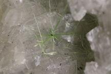 Millerit-Morenosit-Zeche Prosper-Haniel Bottrop FOV 3mm 27032015-J-1600