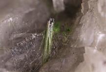 Millerit-Morenosit-Zeche Prosper-Haniel Bottrop FOV 3mm-27032015-J-2-1600