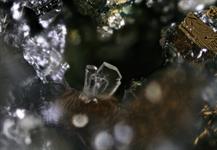 Paralaurionit-Zeche Christian Levin Essen  FOV 1mm -12-13 19-56-50 (C)