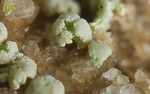 Pyromorphit - Sehringen Badenweiler Schwarzwald FOV 3-4mm 2016-06-02 15-09-11