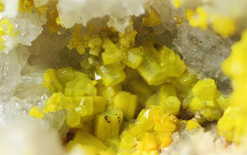 Pyromorphit - Sehringen Badenweiler Schwarzwald FOV 3-4mm 2016-06-02 15-14-26