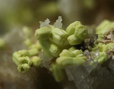 Pyromorphit - Sehringen Badenweiler Schwarzwald FOV 4mm 2016-06-13 01-07-05