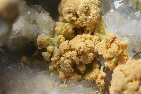 Pyromorphit - Sehringen Badenweiler Schwarzwald FOV 6mm 2016-06-13 01-04-21