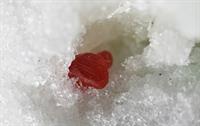 Realgar - Lengenbach Binntal CH FOV 6mm 2016-02-13 23-29-44 (C)