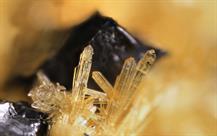 Sideronatrit-Zeche Julia Herne  FOV 1mm 12-13 16-51-28 (C)