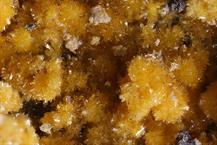 Sideronatrit-Zeche Julia Herne FOV 3mm 10022015-2