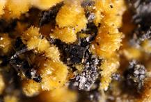 Sideronatrit-Zeche Julia HerneFOV 3mm LUMINAR-11032015