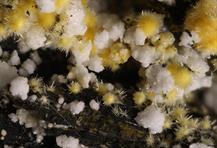 Tamarurgit-Zeche Julia Herne FOV 5mm 10022015-2